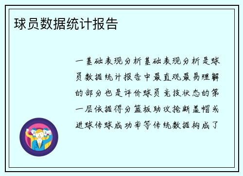 球员数据统计报告